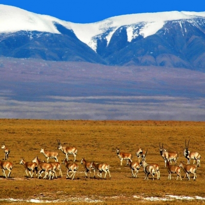 Network analysis con ArcGIS per riscoprire una diramazione della via della Seta attraverso il Tibet