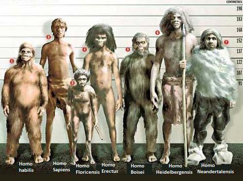 Homo sapiens in Europa oltre 45.000 anni fa e incontrò gli uomini di Neanderthal