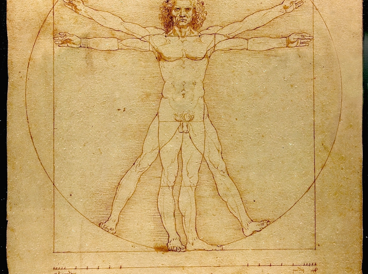 Uomo Vitruviano Leonardo Da Vinci