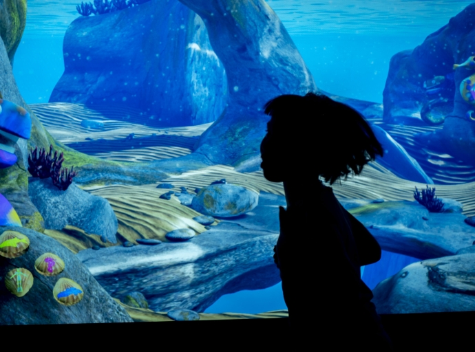 Videogiochi per la cultura 