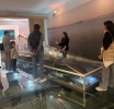 Capodimonte, successo per la due giorni al Museo della Navigazione per il Tevere Day: visitatori da tutta Italia riscoprono un gioiello del territorio