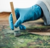 Biologi e restauro: al via la prima Scuola dedicata alla conservazione programmata del patrimonio culturale
