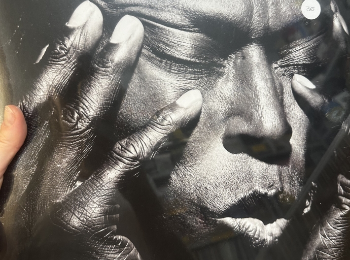 L’essenziale è Irving Penn  