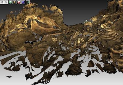 archeologia borrodino stampa3d