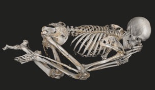 mummiabm scheletro