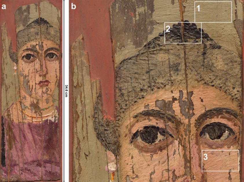 (a) Color image of the Fayum painting “Portrait of a woman”, c. 2nd century AD  (b) Detail of the painting, illustrating different application methods of the heated wax-based paint resulting in distinct surface topography