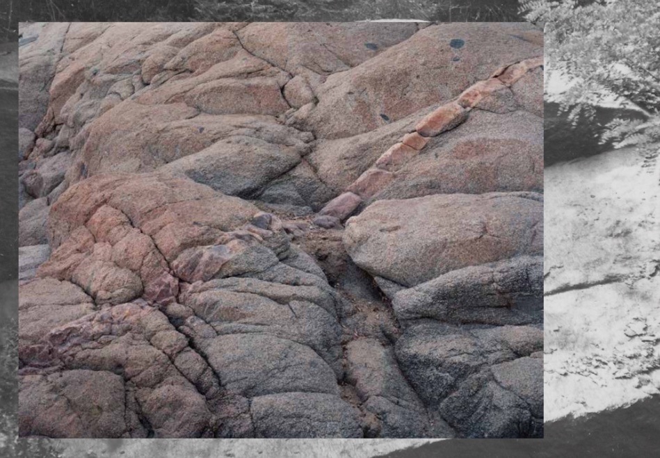 Osservare la terra, un progetto fotografico a confronto con l'archivio fotografico dell'Istituto centrale per il catalogo e la documentazione