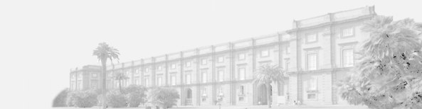 prospetto del museo di capodimonte